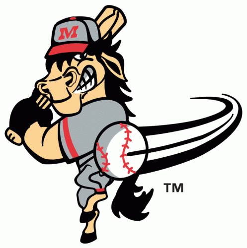 Billings Mustangs 2006-Pres Alternate Logo heat sticker