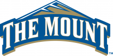 Mount St. Marys Mountaineers 2004-Pres Primary Logo heat sticker