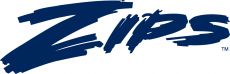 Akron Zips 2002-2007 Wordmark Logo 02 custom vinyl decal