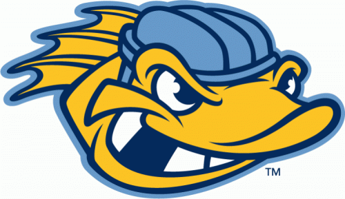 Toledo Walleye 2009 10-Pres Alternate Logo4 custom vinyl decal