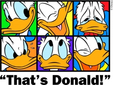 Donald Duck Logo 02 custom vinyl decal