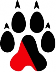 Northeastern Huskies 2007-Pres Alternate Logo 01 heat sticker