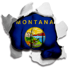 Fist Montana State Flag Logo heat sticker
