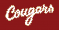 College of Charleston Cougars 2013-Pres Wordmark Logo 05 custom vinyl decal