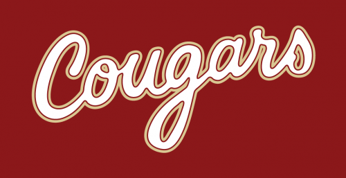 College of Charleston Cougars 2013-Pres Wordmark Logo 05 heat sticker