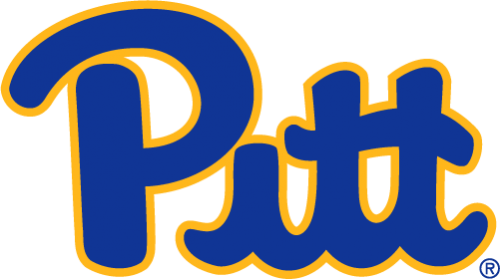 Pittsburgh Panthers 2019-Pres Primary Logo heat sticker