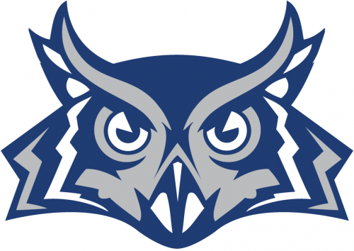 Rice Owls 2010-2016 Alternate Logo heat sticker