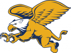 Canisius Golden Griffins 2006-Pres Secondary Logo heat sticker