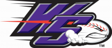 Winston-Salem Dash 2009-Pres Secondary Logo heat sticker