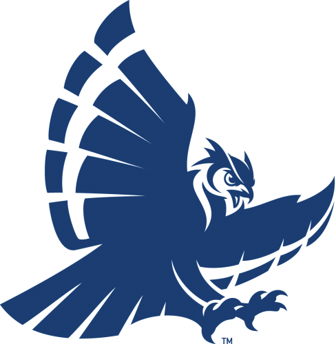 Rice Owls 1997-2009 Secondary Logo 01 heat sticker