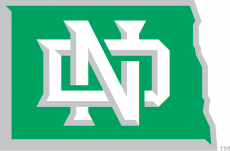 North Dakota Fighting Hawks 2012-2015 Alternate Logo 04 custom vinyl decal