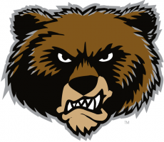 Montana Grizzlies 1996-Pres Alternate Logo 09 heat sticker