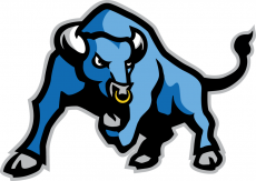 Buffalo Bulls 2007-2015 Secondary Logo 02 heat sticker