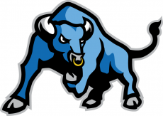 Buffalo Bulls 2007-2015 Secondary Logo 02 custom vinyl decal