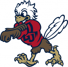 Liberty Flames 2013-Pres Mascot Logo custom vinyl decal