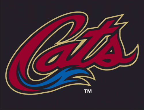 Sacramento River Cats 2007-Pres Cap Logo 2 heat sticker