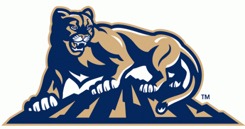 Brigham Young Cougars 1999-2004 Alternate Logo custom vinyl decal