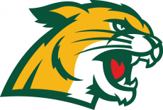 Northern Michigan Wildcats 2016-Pres Secondary Logo 01 custom vinyl decal