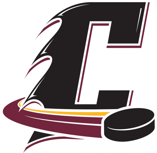 Cleveland Monsters 2016-Pres Alternate Logo heat sticker