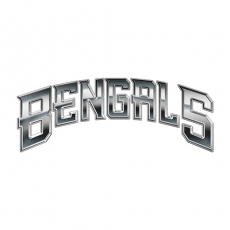 Cincinnati Bengals Silver Logo heat sticker