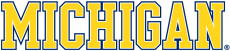 Michigan Wolverines 1996-Pres Wordmark Logo 13 heat sticker