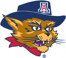 Arizona Wildcats 2003-2012 Mascot Logo 02 heat sticker