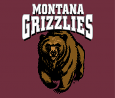 Montana Grizzlies 1996-Pres Primary Dark Logo 01 custom vinyl decal