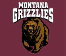 Montana Grizzlies 1996-Pres Primary Dark Logo 01 heat sticker