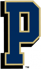 Pittsburgh Panthers 1997-2015 Alternate Logo heat sticker