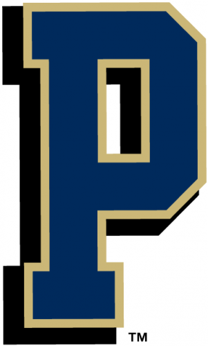 Pittsburgh Panthers 1997-2015 Alternate Logo custom vinyl decal