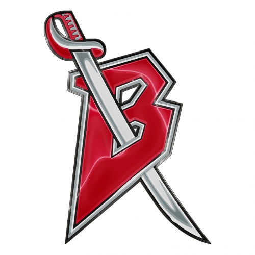 Buffalo Sabres Crystal Logo heat sticker