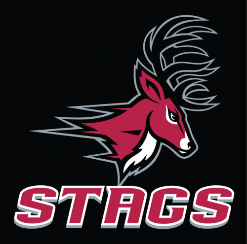 Fairfield Stags 2002-Pres Alternate Logo 01 custom vinyl decal