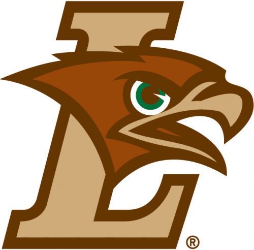 Lehigh Mountain Hawks 2004-Pres Primary Logo custom vinyl decal