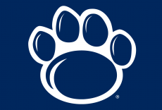 Penn State Nittany Lions 2005-Pres Secondary Logo heat sticker