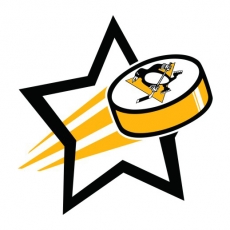 Pittsburgh Penguins Hockey Goal Star logo heat sticker
