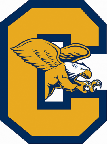 Canisius Golden Griffins 2006-Pres Alternate Logo custom vinyl decal