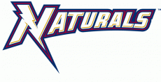 Northwest Arkansas Naturals 2008-Pres Wordmark Logo heat sticker