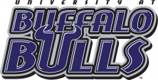 Buffalo Bulls 1997-2006 Wordmark Logo heat sticker