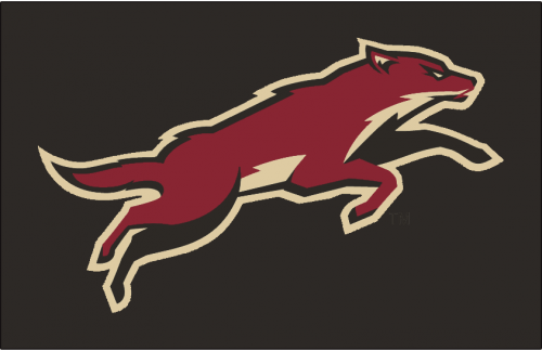 Arizona Coyotes 2008 09-2013 14 Jersey Logo custom vinyl decal