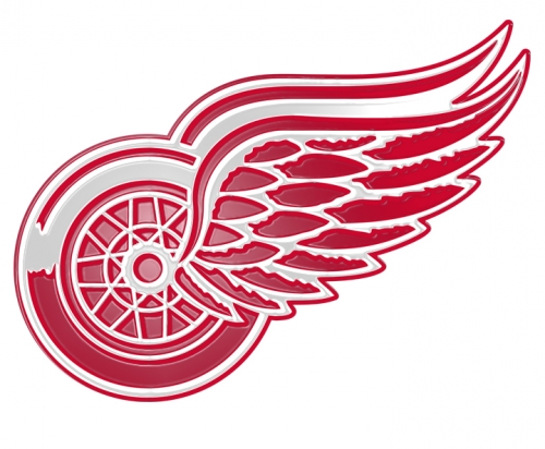 Detroit Red Wings Plastic Effect Logo custom vinyl decal