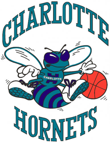 Charlotte Hornets 1988 89-2001 02 Primary Logo custom vinyl decal