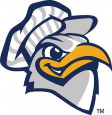 Chattanooga Mocs 2001-2007 Alternate Logo 02 heat sticker