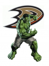 Anaheim Ducks Hulk Logo custom vinyl decal