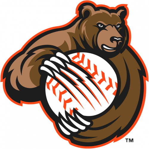 Fresno Grizzlies 2008-2018 Alternate Logo heat sticker