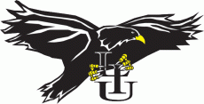 LIU-Brooklyn Blackbirds 1996-2007 Primary Logo custom vinyl decal