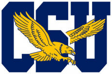 Coppin State Eagles 2017-Pres Primary Logo heat sticker