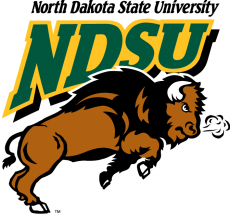 North Dakota State Bison 2005-2011 Primary Logo heat sticker