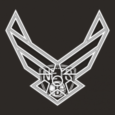 Airforce Brooklyn Nets Logo heat sticker