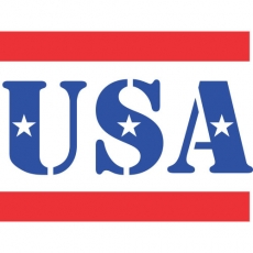 USA Logo 08 custom vinyl decal