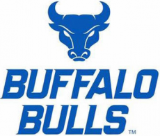 Buffalo Bulls 2016-Pres Alternate Logo heat sticker